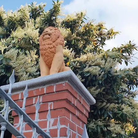 بيت ضيافة Il